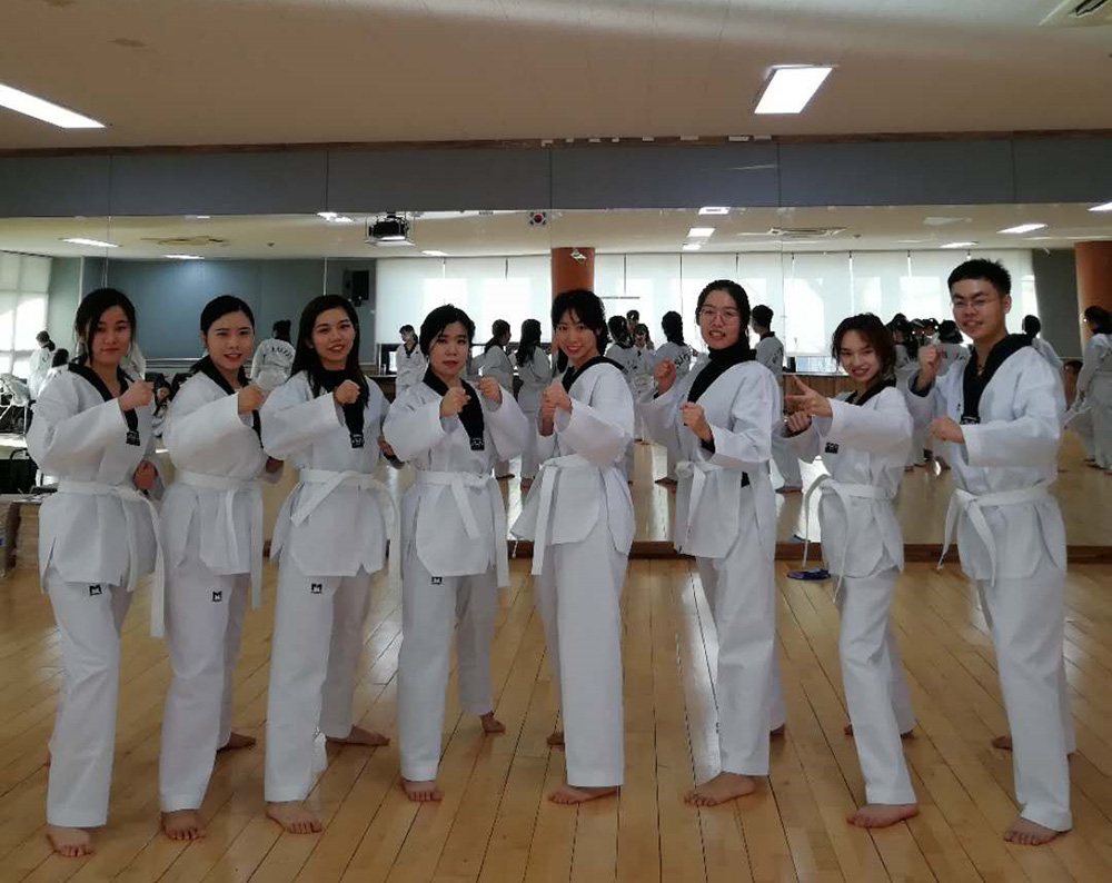 同学们学习跆拳道